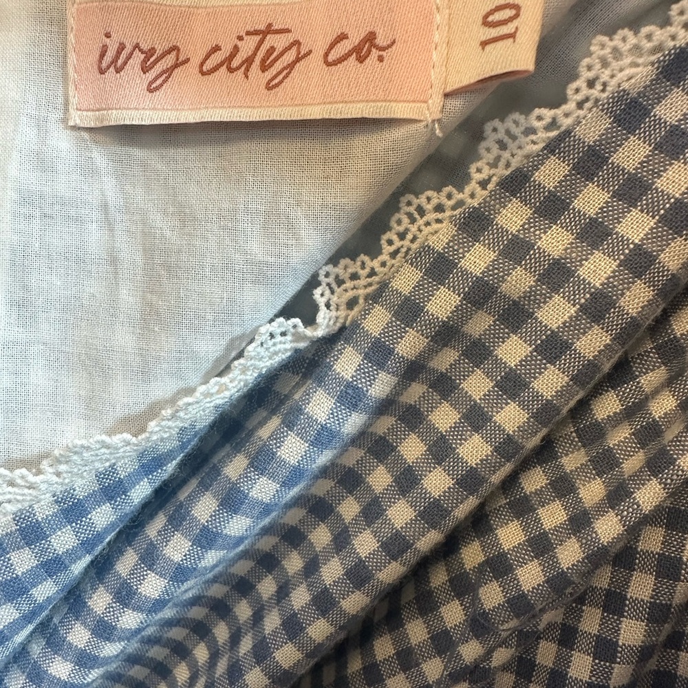 Ivy City Co Hannah Dress in Blue Gingham - Picture 5 of 5